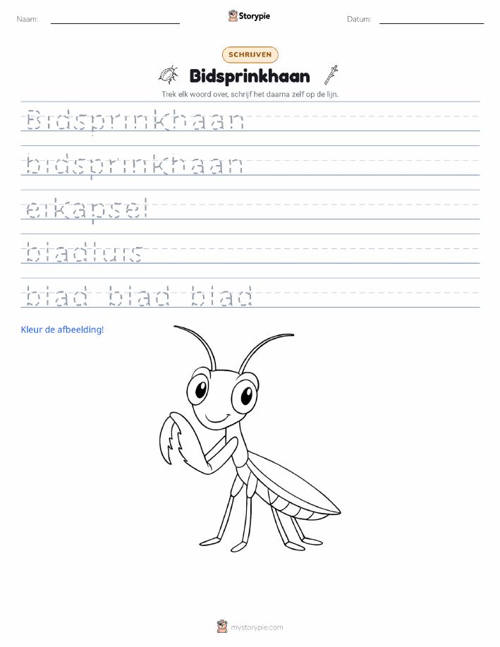 Schrijf Oefening