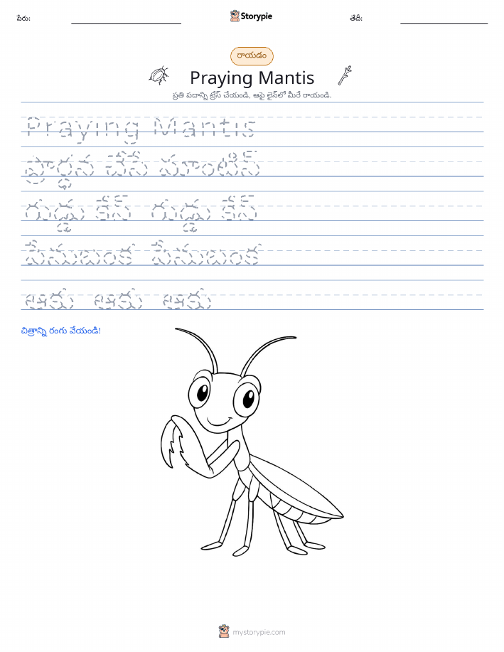 రాయడం సాధన