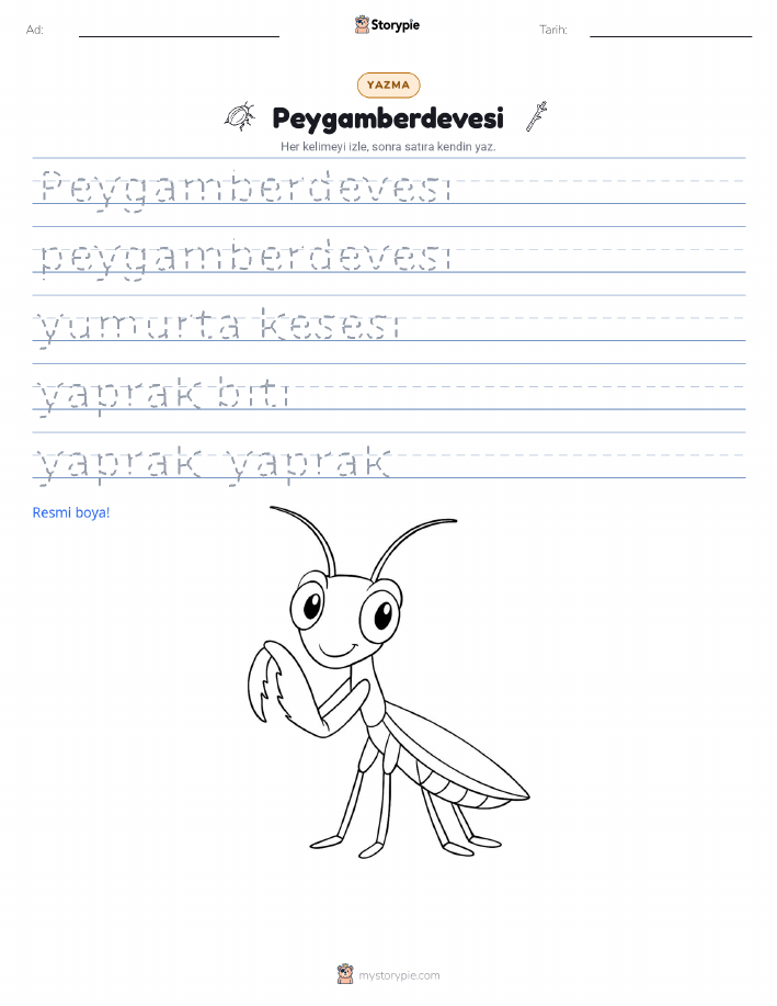 Yazma Pratiği