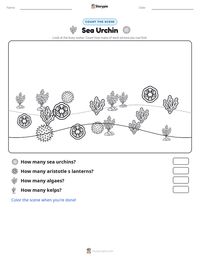 Sea Urchin printable worksheet preview