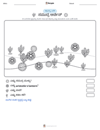 ಸಮುದ್ರ ಅರ್ಚಿನ್ ಮುದ್ರಣೀಯ ಕಾರ್ಯಪತ್ರದ ಪೂರ್ವದೃಶ್ಯ