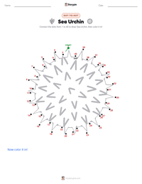 Sea Urchin printable worksheet preview