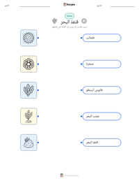 معاينة ورقة العمل القابلة للطباعة قنفذ البحر