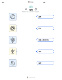 海胆 可打印工作表预览