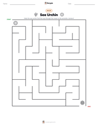 Sea Urchin printable worksheet preview