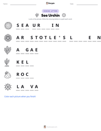 Sea Urchin printable worksheet preview