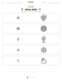 Xem trước tài liệu in sẵn Nhím biển