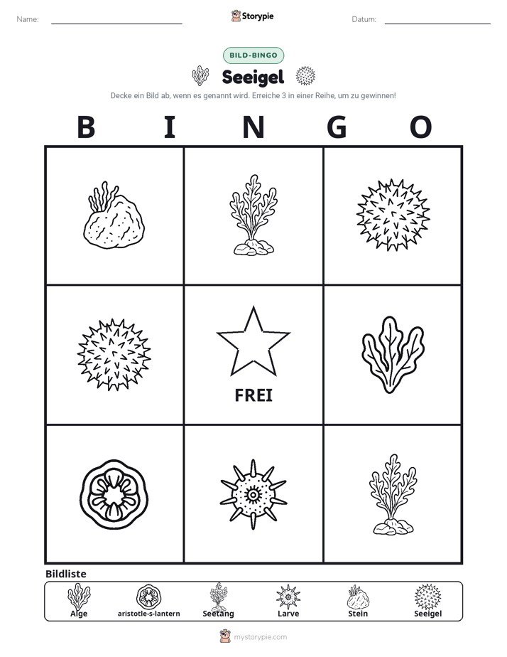 Bild-Bingo