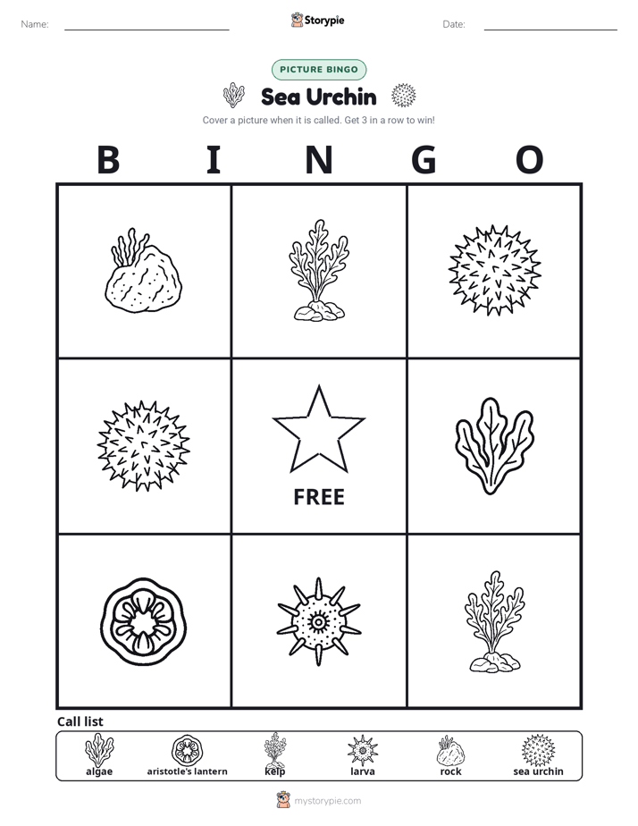 Picture Bingo