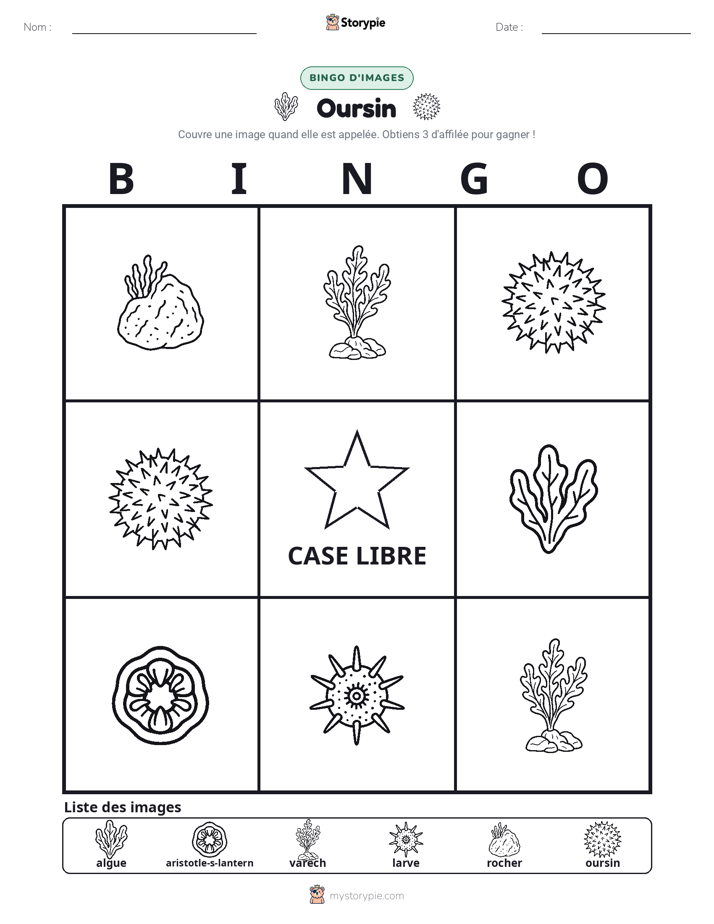 Bingo d'Images