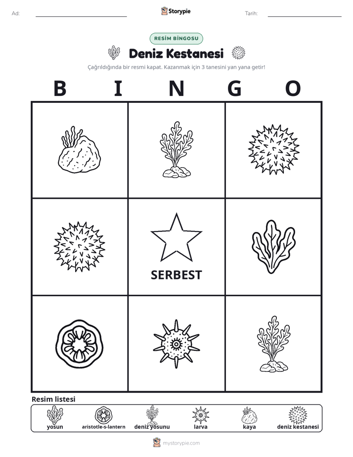 Resim Bingo