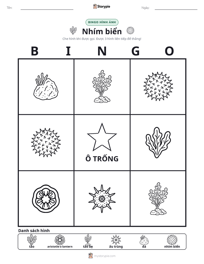 Bingo Hình Ảnh