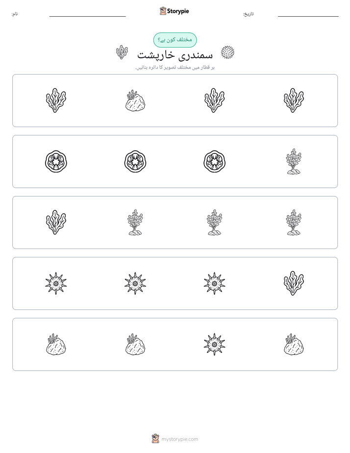 عجیب ایک