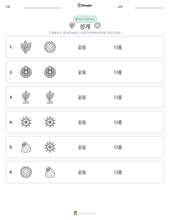 같은 것 또는 다른 것
