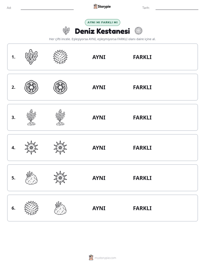 Aynı mı Farklı mı