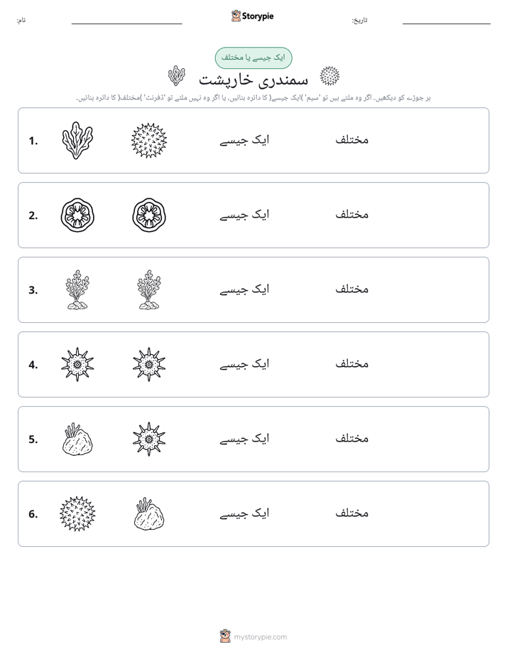 ایک جیسا یا مختلف