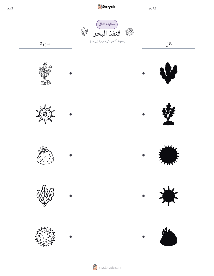 مطابقة الظل