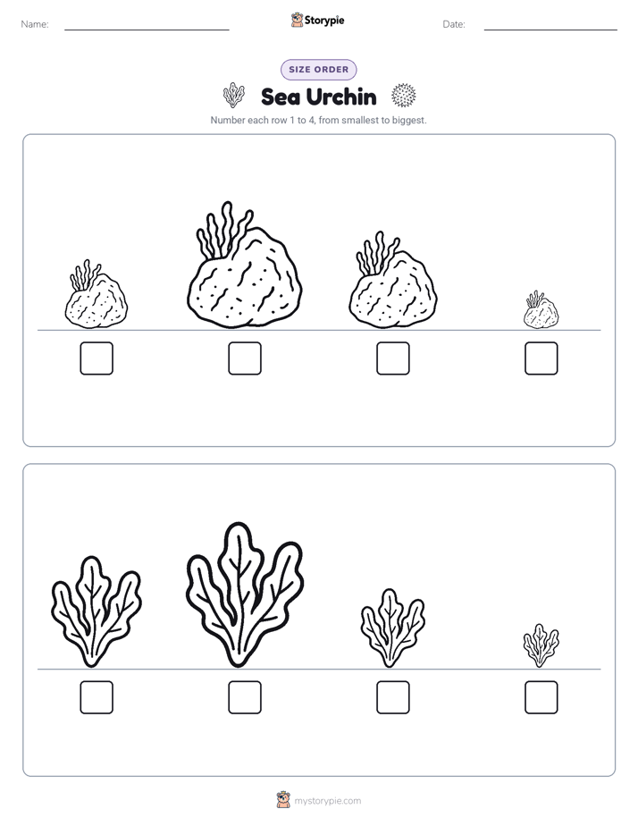 Size Order