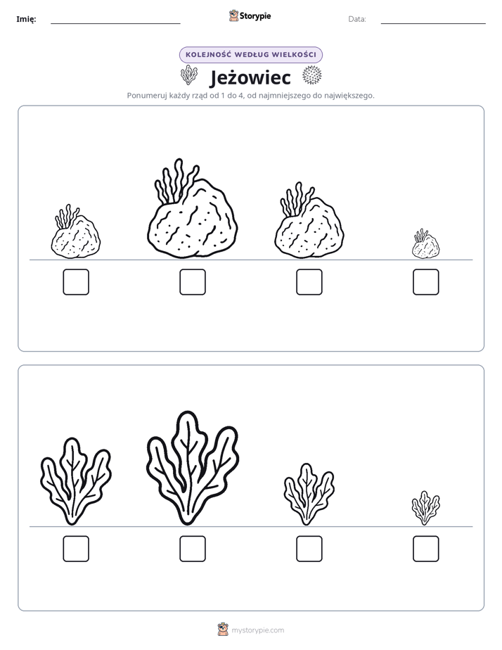 Porządek rozmiarów