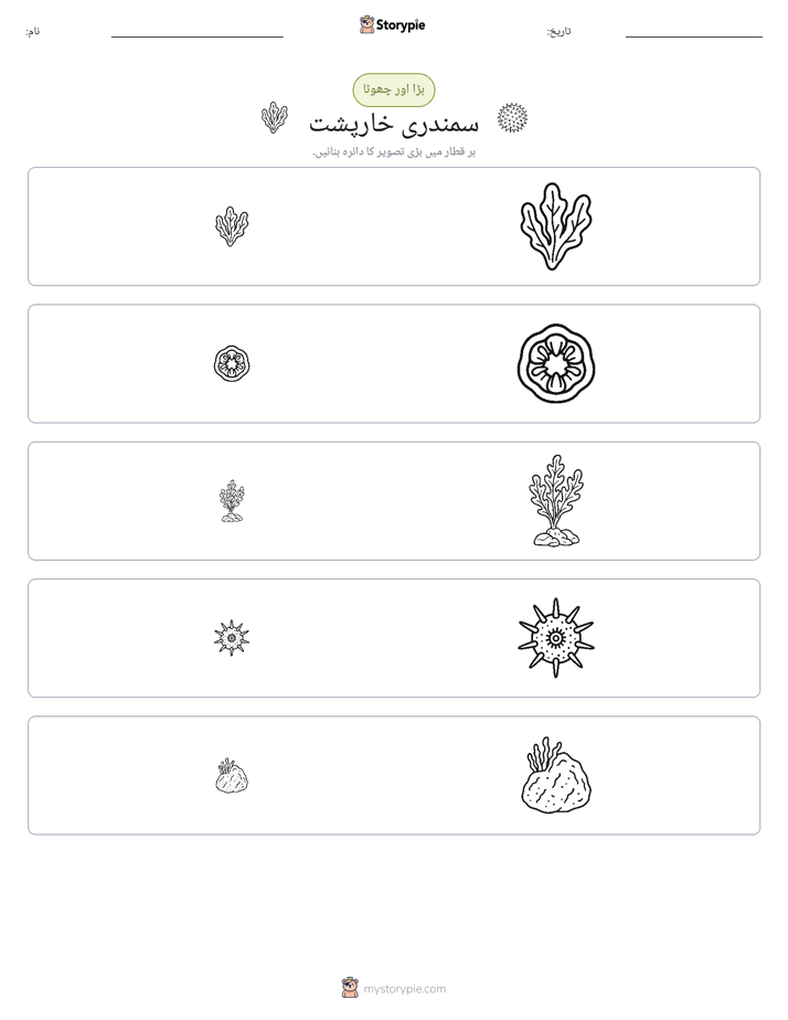 ترتیب دینا