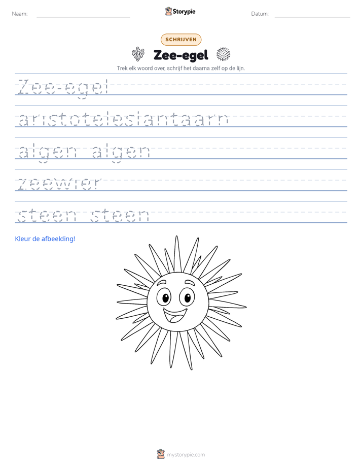 Schrijf Oefening