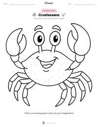 Crustaceans printable worksheet preview