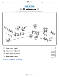 Crustaceans printable worksheet preview