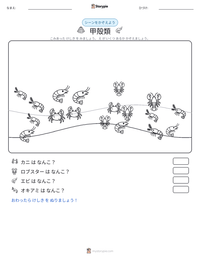 甲殻類 の印刷可能ワークシートプレビュー
