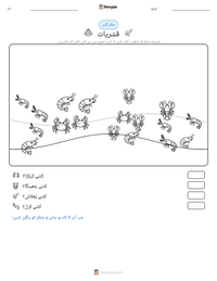 قشریات پرنٹ کرنے کے قابل ورکشیٹ کا پیش نظارہ
