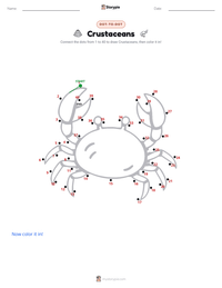 Crustaceans printable worksheet preview