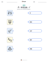 甲壳动物 可打印工作表预览