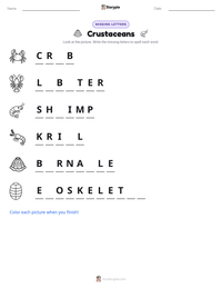 Crustaceans printable worksheet preview