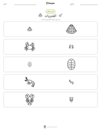 معاينة ورقة العمل القابلة للطباعة القشريات