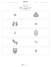 قشریات پرنٹ کرنے کے قابل ورکشیٹ کا پیش نظارہ