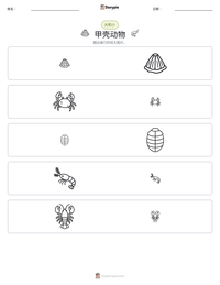 甲壳动物 可打印工作表预览