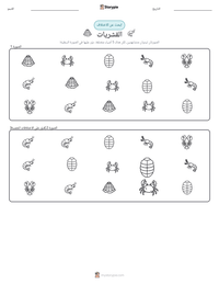 معاينة ورقة العمل القابلة للطباعة القشريات