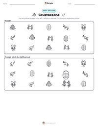 Crustaceans printable worksheet preview