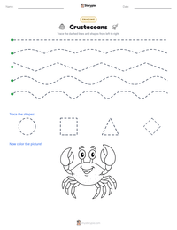 Crustaceans printable worksheet preview