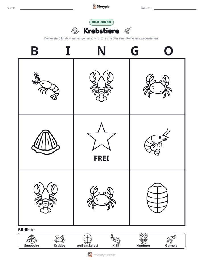Bild-Bingo