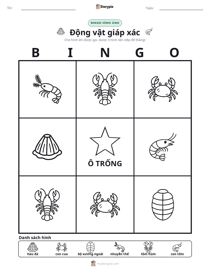 Bingo Hình Ảnh