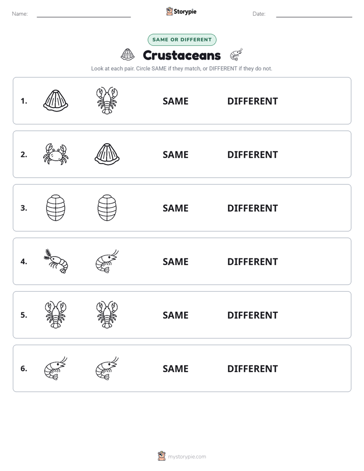 Same or Different