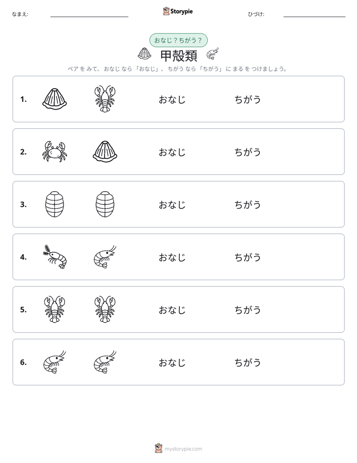 同じか違うか