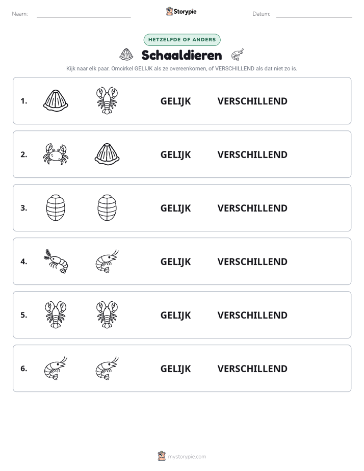 Zelfde of Verschillend