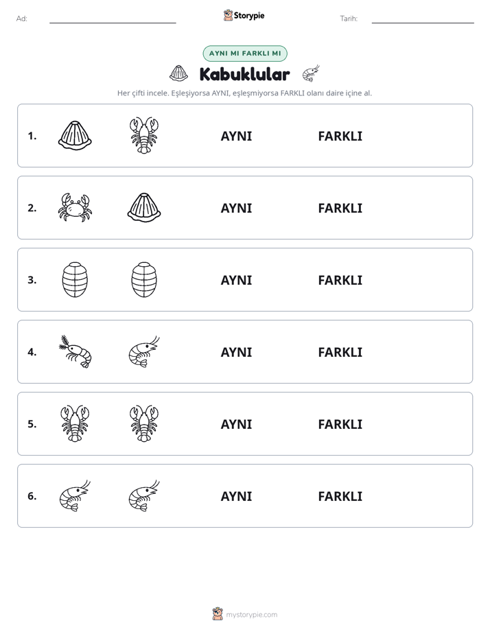 Aynı mı Farklı mı