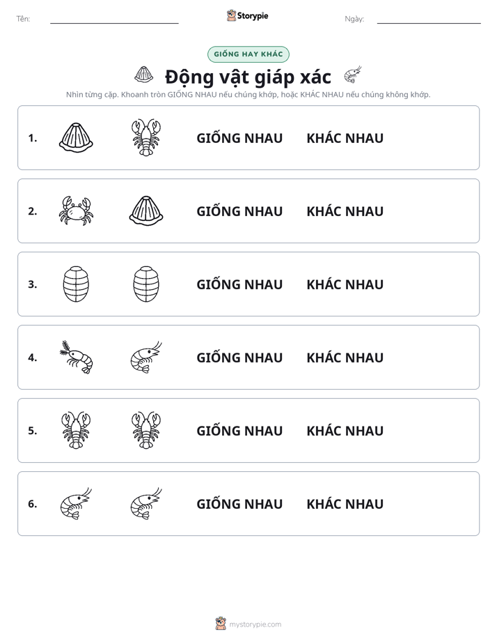 Giống Hay Khác