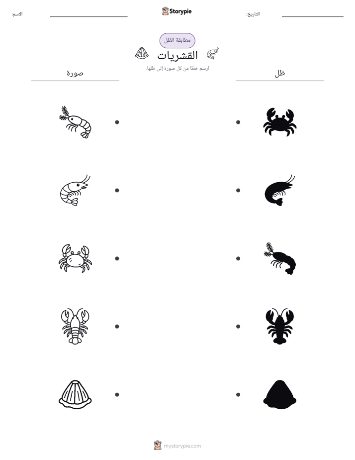مطابقة الظل
