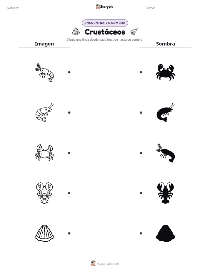 Coincidencia de Sombras