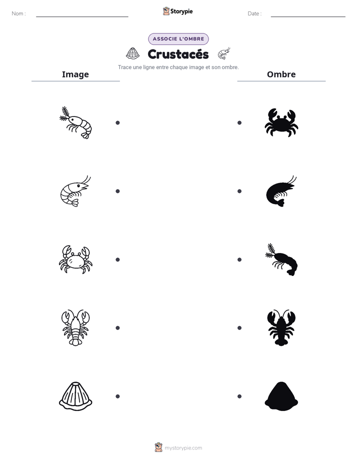 Correspondance d'Ombres