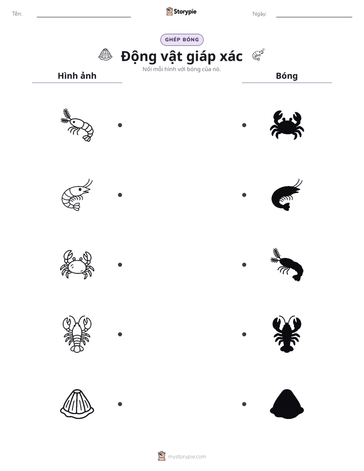 Ghép Hình Bóng