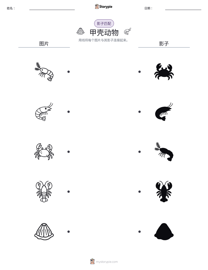 影子匹配